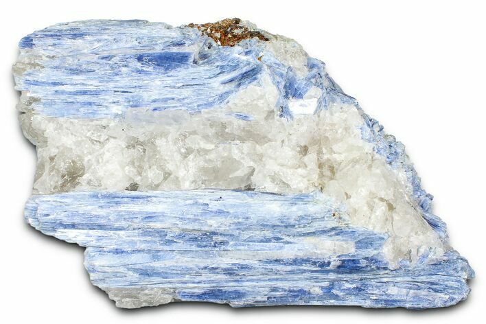 Vibrant Blue Kyanite Crystals and Staurolite In Quartz - Brazil #368793